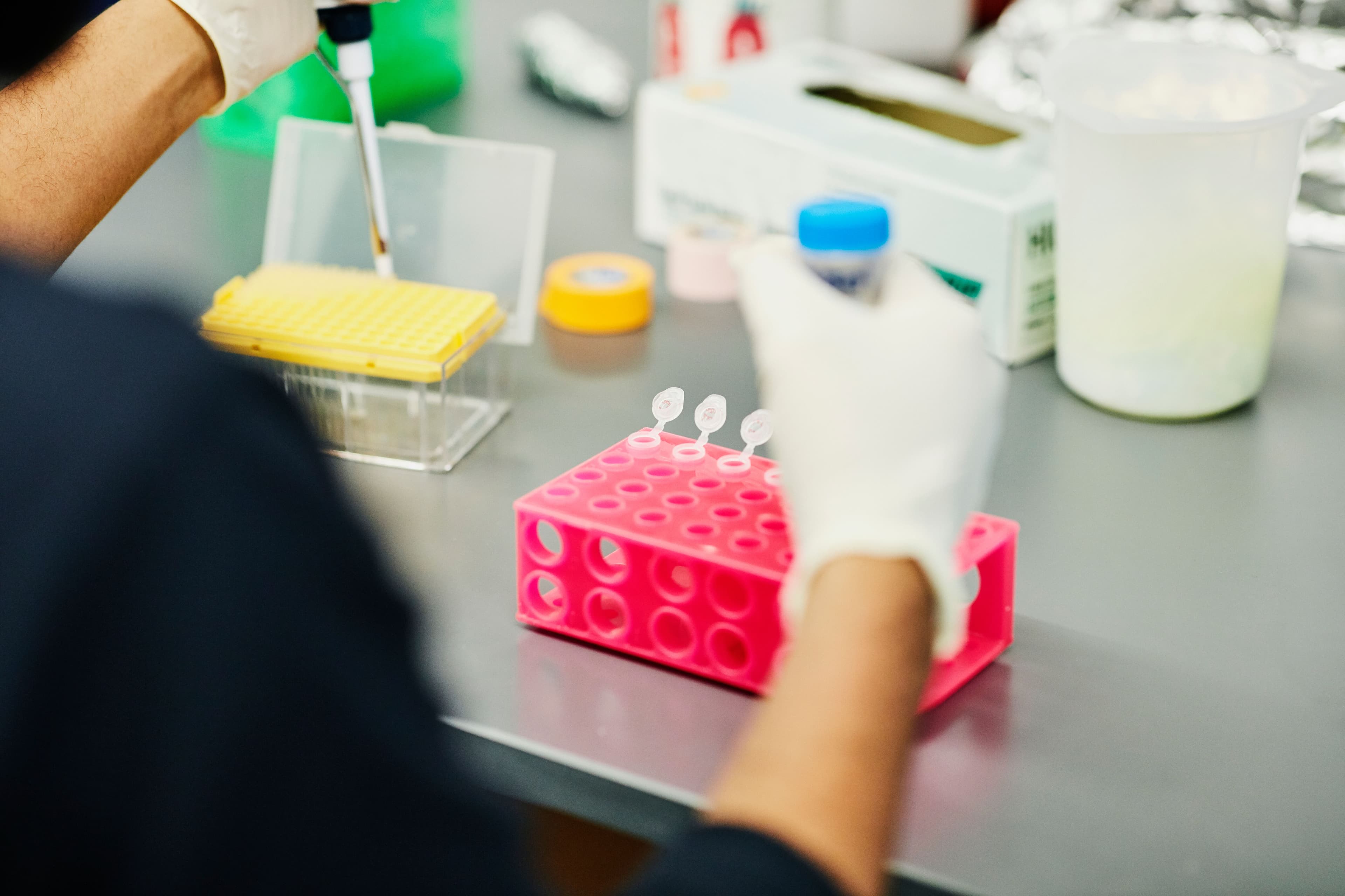 Photo of a scientist using a pipette in a lab.